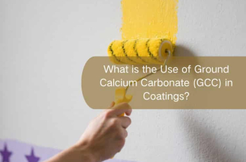 Ground Calcium Carbonate in Paint Formulation